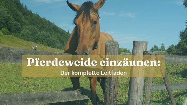 Pferdeweide einzäunen Anleitung 2026 sonilo.shop