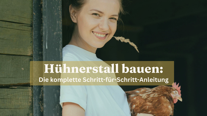 Hühnerstall bauen Anleitung 2026 sonilo.shop