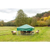Sheep and goats grazing tent