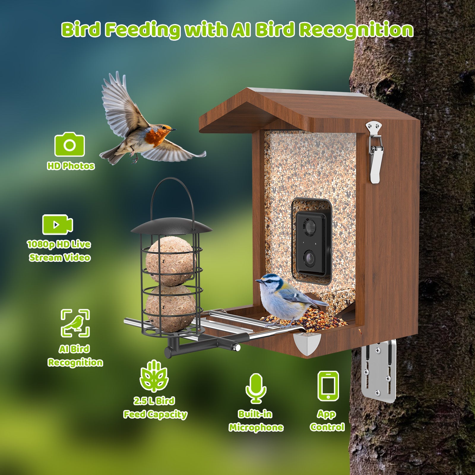 Holz-Vogelfutterstation mit integrierter Kamera, Futterplatte und Metallkorb mit zwei Futterkugeln; Vogel füttert, Werbung betont KI-Vogelerkennung, 1080p HD-Streaming, 2,5 L Futterkapazität, Mikrofon und App-Steuerung.