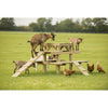 Goat climbing tower