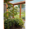 Lattice-roof aviary stable Lucky