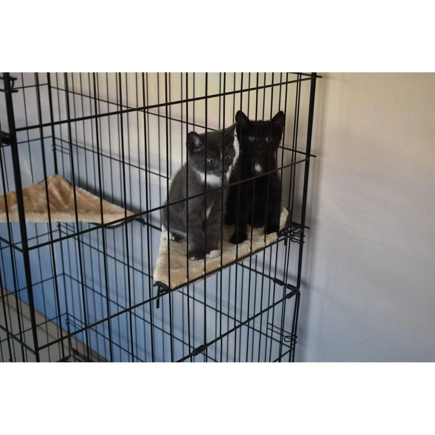 Articles pour chats - Parc pour chats Levi