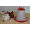 Distributeur de nourriture 3kg plastique